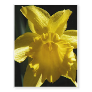Perfect Daffodil Temporary Tattoos
