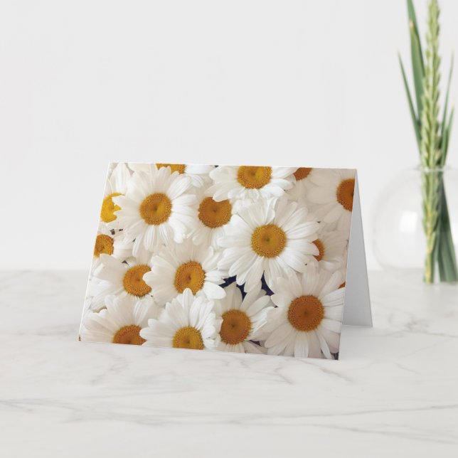 Perfect Daisies Greeting Cards (Front)