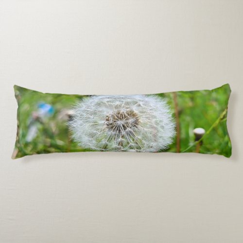 Perfect Dandelion – Botanical Macro Photography Body Pillow