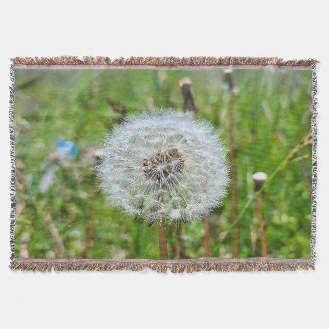 Perfect Dandelion – Botanical Macro Photography Throw Blanket (Front)
