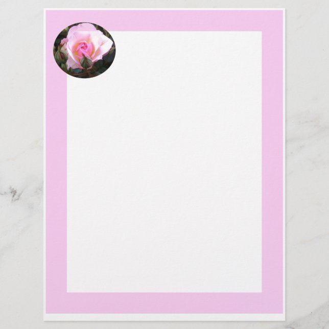 Perfect English Pink Rose Letterhead (Front)