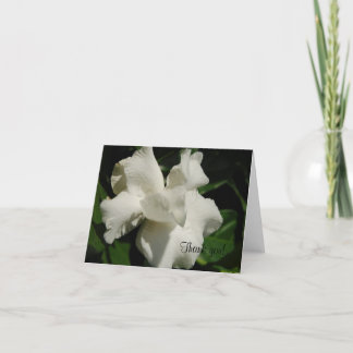 Perfect Gardenia Letterpress Thank You Card