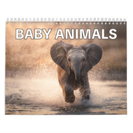 Perfect Gift for Animal Lovers | Baby Animals Wall Calendar