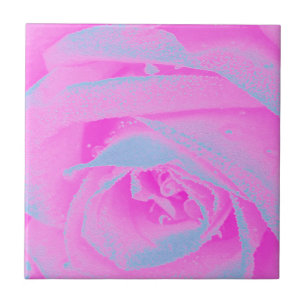 Perfect Hot Pink and Light Blue Rose Detail Ceramic Tile