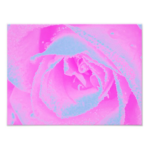 Perfect Hot Pink and Light Blue Rose Detail Photo Print
