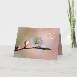 Perfect Japanese Apricot Flower Letterpress Thank You Card