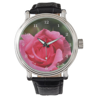 perfect, lovely summer hot pink rose flower photo watch