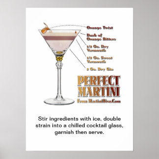 Perfect Martini Cocktail Recipe Art "18 x 24" Poster