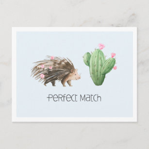 Perfect Match   Cute Porcupine & Cactus Love Postcard