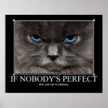 Perfect Nobody Cat Artwork Poster at Zazzle