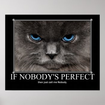 Perfect Nobody Cat Artwork Poster by artisticcats at Zazzle