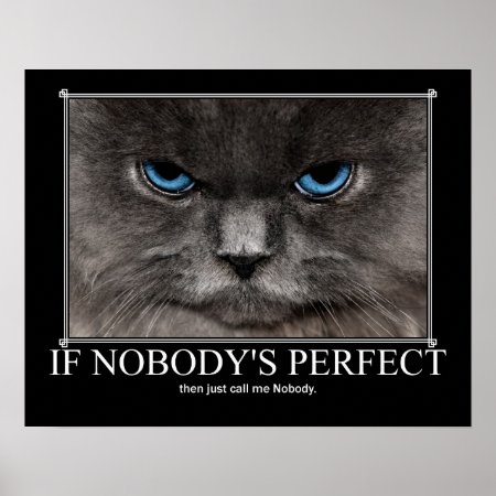 Perfect Nobody Cat Artwork Poster