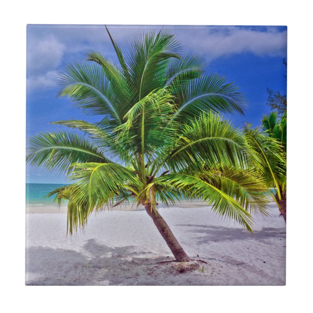 Perfect Palm Tree Tropical Island Beach Ceramic Tile (Front)