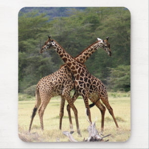 Perfect Partners Mouse Pad