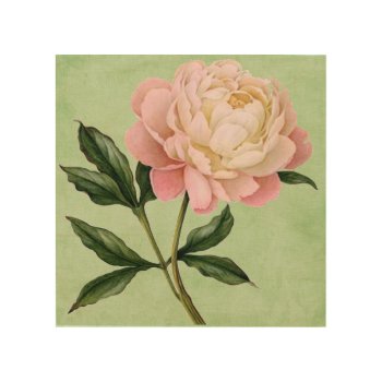 Perfect Peony Botanical Home Decor by cowboyannie at Zazzle