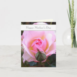 Perfect pink editable English Rose Card