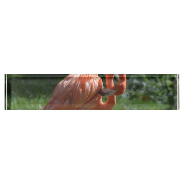 Perfect Pink Flamingo Desk Name Plate (Front)