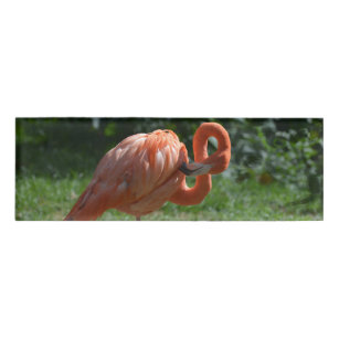 black and white flamingo name tags black and white flamingo name tags