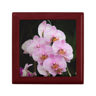 Perfect Pink Orchids Gift Box