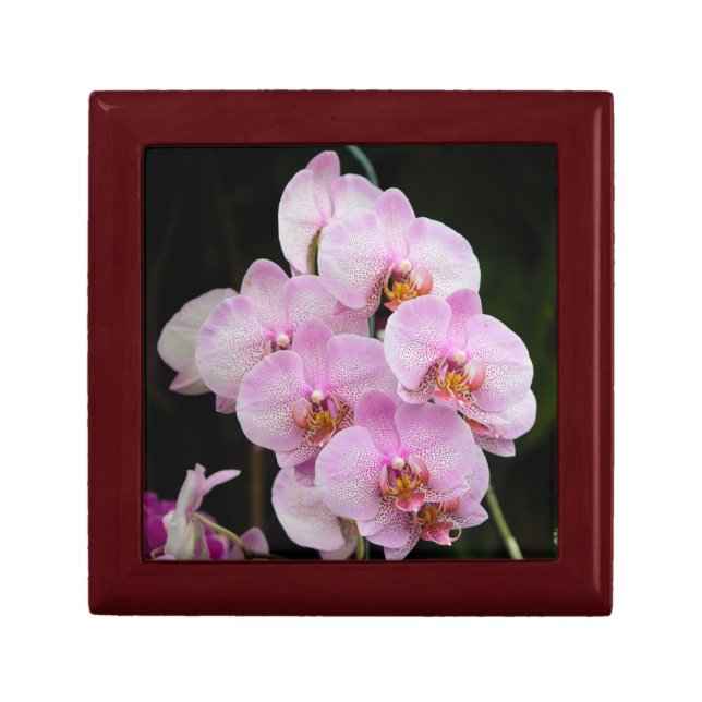 Perfect Pink Orchids Gift Box (Front)