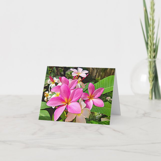 Perfect Pink Plumeria Note Cards (Front)