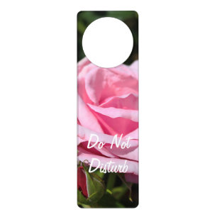 perfect pink rose flower and buds. love, freind door hanger
