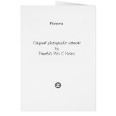 Perfect Plumeria (Back)