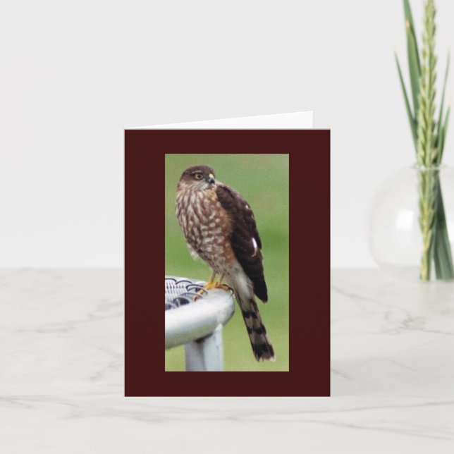 Perfect Profile Card (Front)