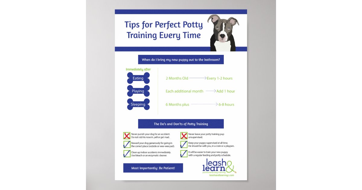 Can A Dog Trainer Help With Potty Training