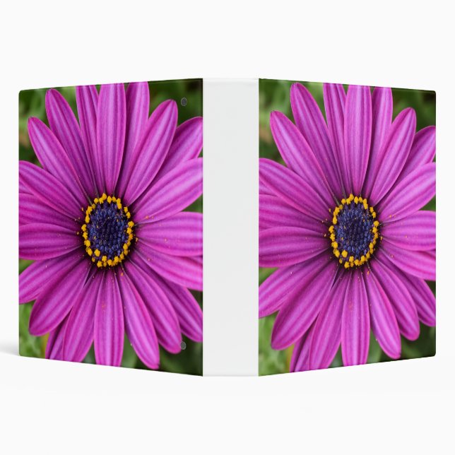 Perfect Purple Flower Head 3 Ring Binder (Background)