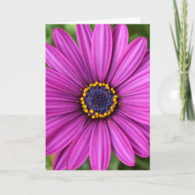 Perfect Purple Flower Head Card (Front)