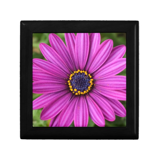 Perfect Purple Flower Head Gift Box (Front)
