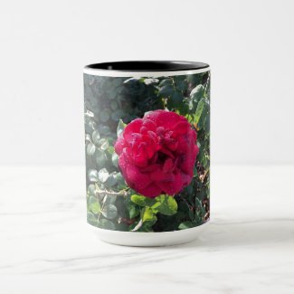 Perfect Red Rose With Dew Drops Mug