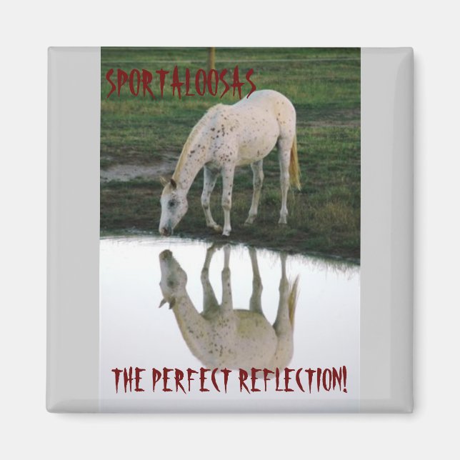 Perfect Reflection.. Magnet (Front)