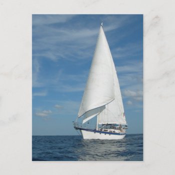 Perfect Sail  Postcard by SailingWind at Zazzle