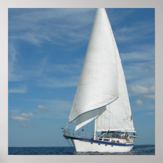 Perfect Sail Poster