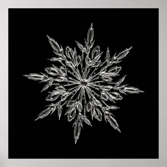 Perfect Snowflake for the Christmas Holiday Poster (Front)