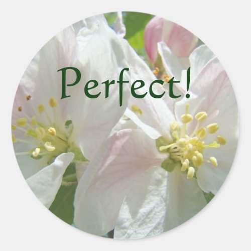 Perfect stickers custom Apple Blossoms Flowers