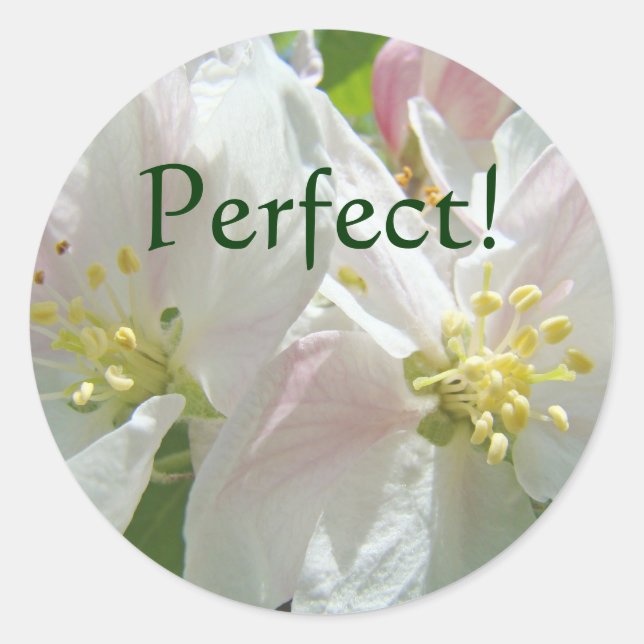 Perfect! stickers custom Apple Blossoms Flowers (Front)