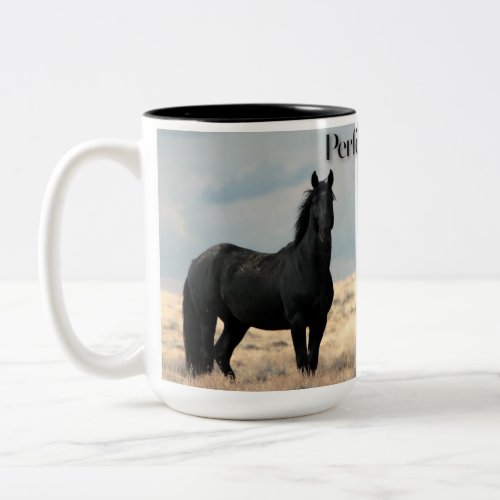 Perfect Storm Mustang Mug 