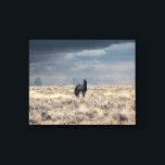 Perfect Storm on canvas  Print<br><div class="desc">A black stallion and ominous clouds move in...  a Perfect Storm.</div>