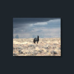 Perfect Storm on canvas  Print<br><div class="desc">A black stallion and ominous clouds move in...  a Perfect Storm.</div>