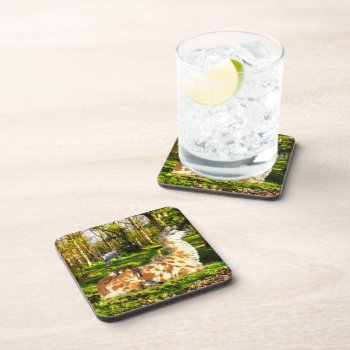 "perfect Sunday Afternoon" Coaster Set by TabbyHallDesigns at Zazzle