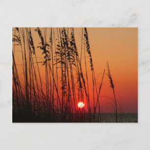Perfect Sunset Postcard