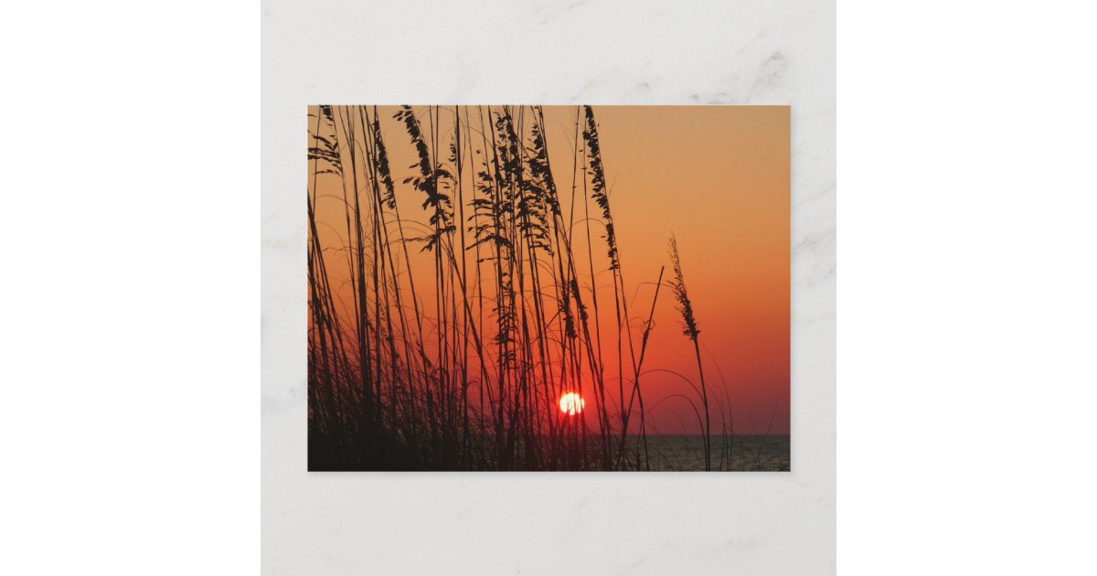 Sunset Perfect Square Perfect Sunset Postcard | Zazzle