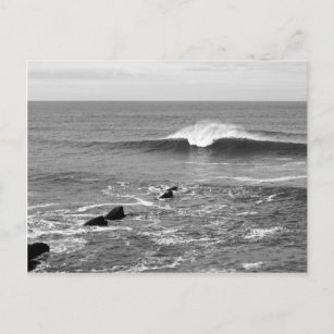 Perfect Wave California Coast Black & White Postcard