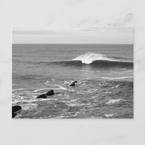 Perfect Wave California Coast Black  White Postcard