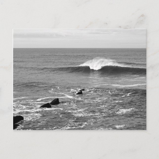Perfect Wave California Coast Black & White Postcard (Front)