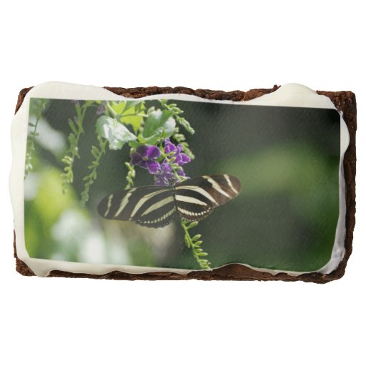 Perfect Zebra Butterfly Rectangular Brownie | Zazzle