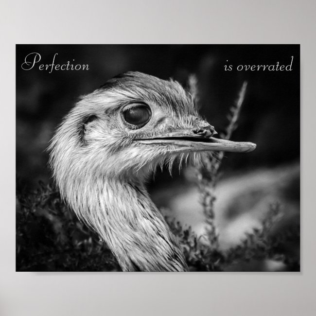 Perfection is Overrated - Poster
